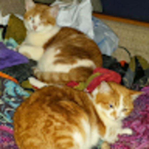 Meet your Posher, Jaime - Picture 1 of 1